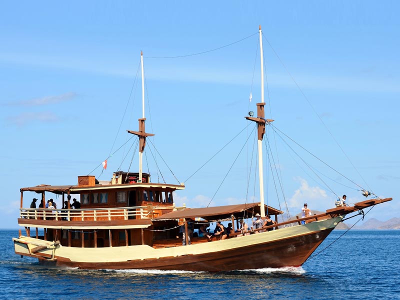 Komodo Tour From Labuan Bajo