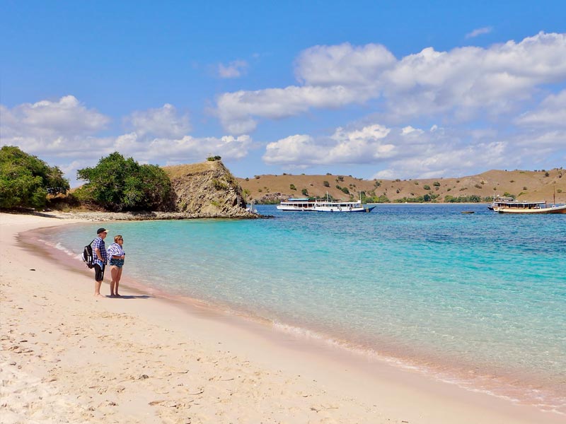 Komodo Tour From Labuan Bajo: Pink Beach