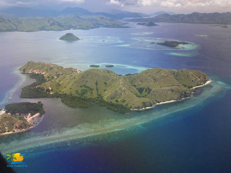 Komodo Dragon Tour: Komodo Island