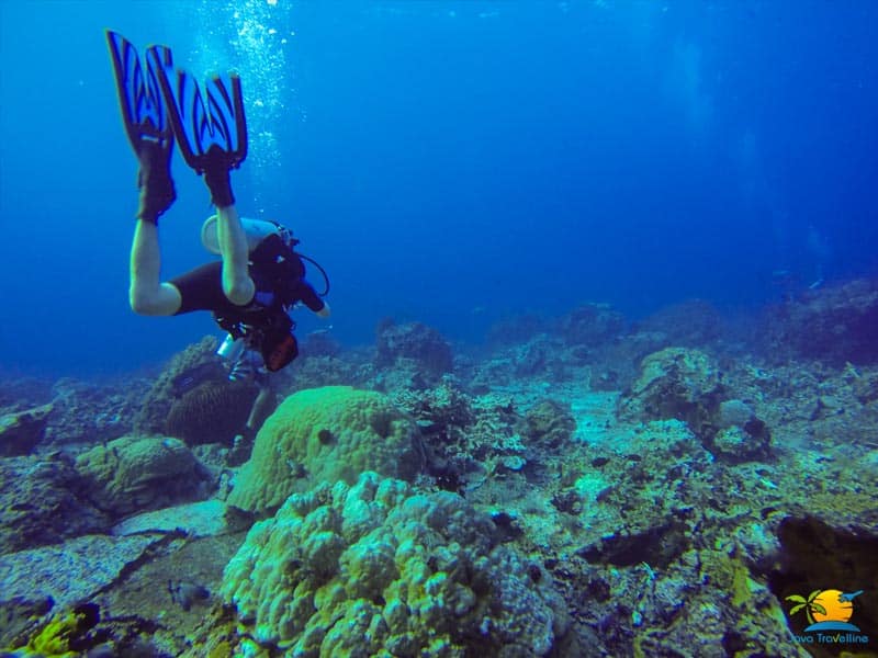 Sailing Komodo: Water Activity