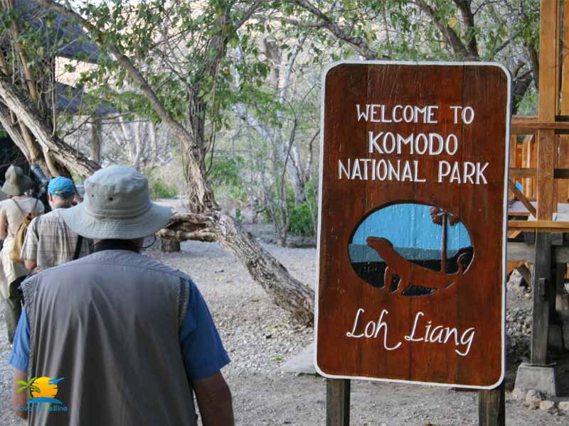 Things To Do In Komodo Island:  Komodo National Park