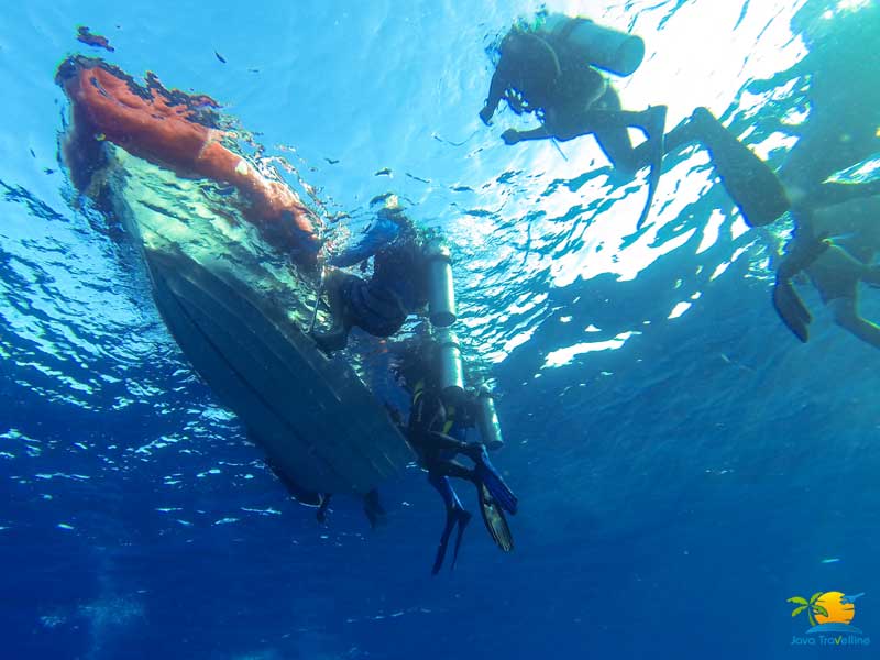 Komodo Dragon Tour: Komodo Water Activity