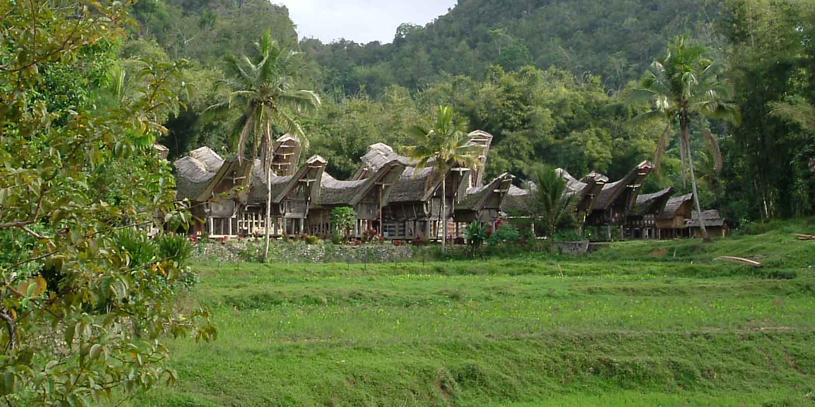 sulawesi holiday tour