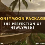 Honeymoon Packages